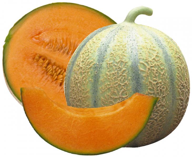 Charentais Melon French heirloom 10 seeds