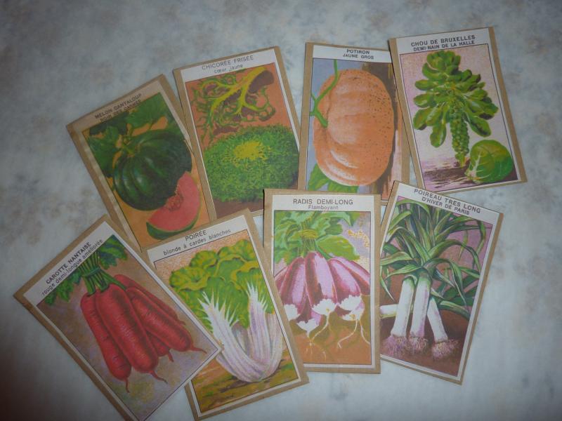 Vintage seed packets