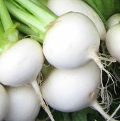 Heirloom Turnip WHITE EGG  100 seeds