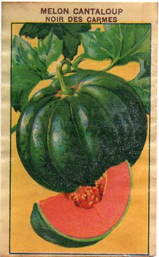 Noir des Carmes Melon 10 seeds