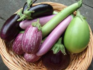 varieties_of_eggplant-brinjal-baingan.jpg